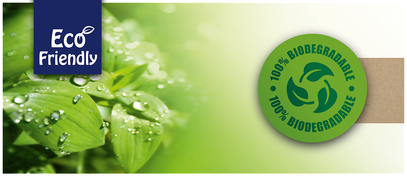 sustainability